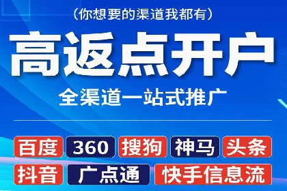 顶级SEM运营公司案例分析